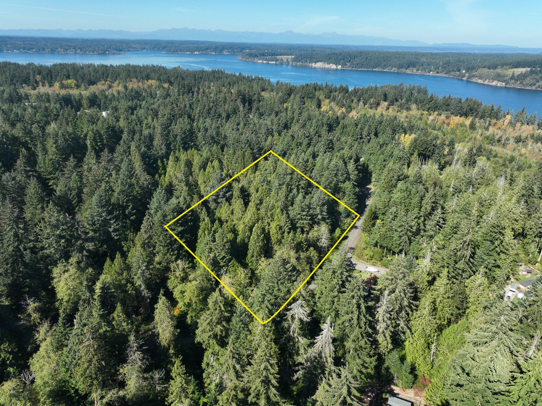 Aerial view of the lot, Anderson Island, WA