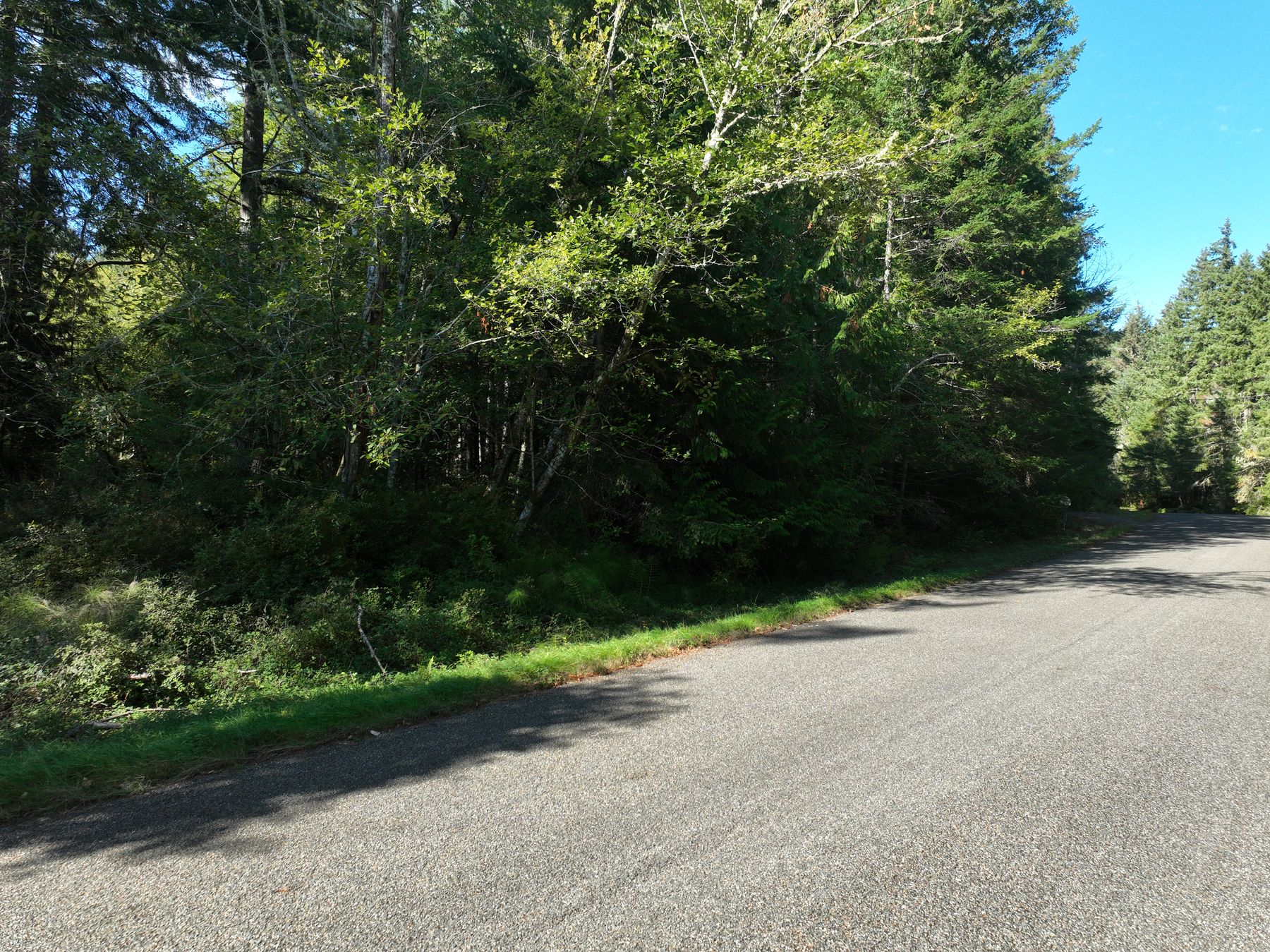 Salal Dr, the paved community road