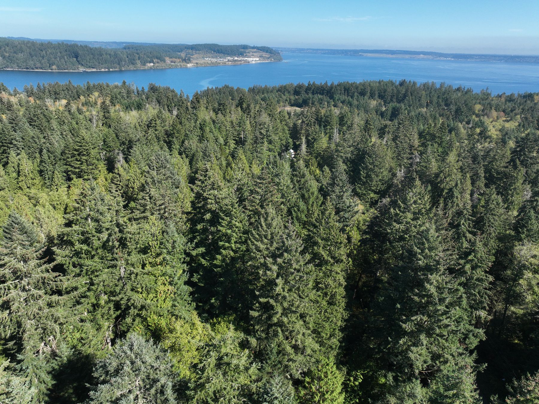 The view west over the island toward the Sound