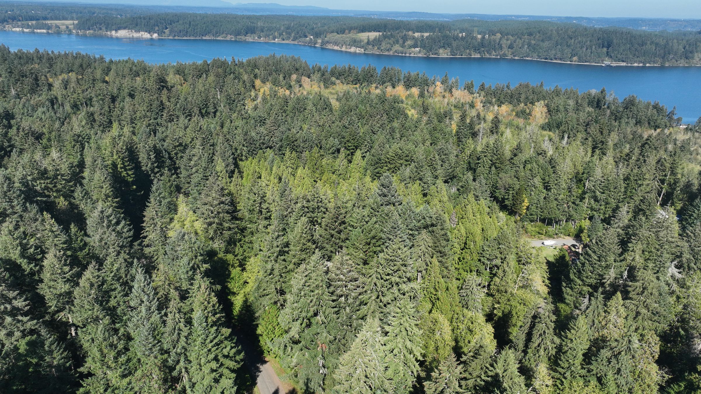 Drone view over the evergreen forest around the lot, with Puget Sound and the Olympic Mountains beyond